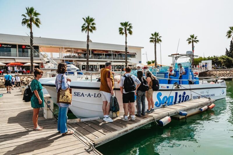 Lagos: Dolphin Watch Tour with Professional Marine Biologist - FAQ
