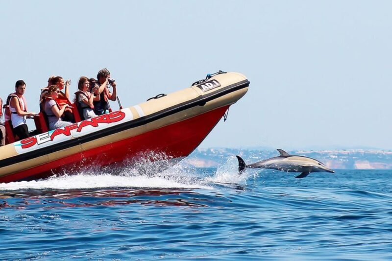 Lagos: Dolphin Watching with Professional Marine Biologists - Final Thoughts