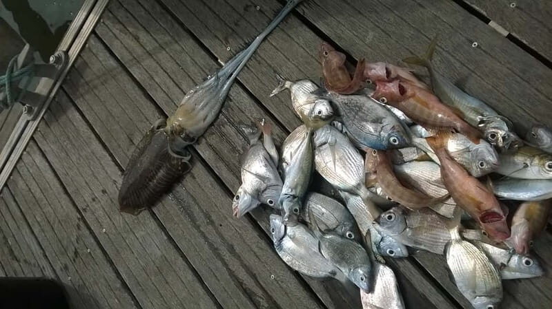 Lagos: Family Fishing Trip - An Overview of the Experience