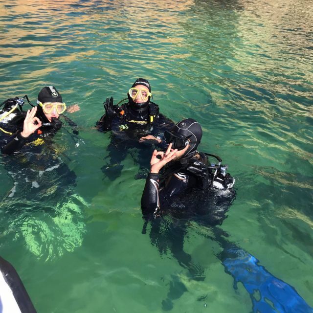 Lagos: Guided Scuba Diving Trip for Beginners - Final Thoughts