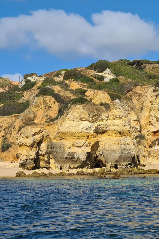 Lagos: Privat Trip up to 11 Pax to Grottos Ponta da Piedade - What You Can Expect from This Tour