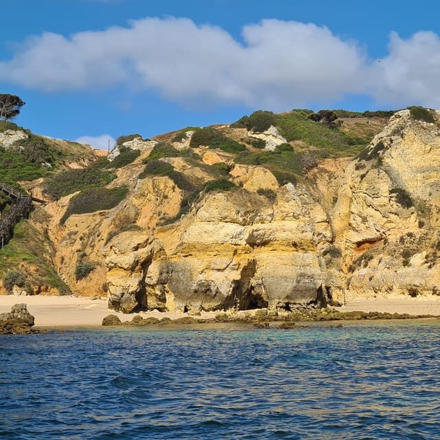 Lagos: Privat Trip up to 11 Pax to Grottos Ponta da Piedade - Practical Tips and Recommendations