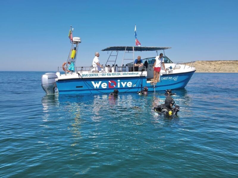 Lagos: Scuba Diving Experience for Beginners - Key Points