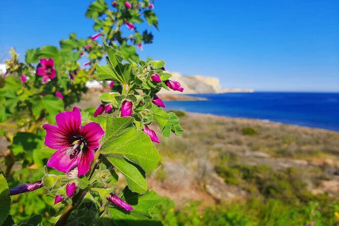 Lagos to Luz with an eco Tuk and local guide - The Practical Side: Value, Duration, and Ease