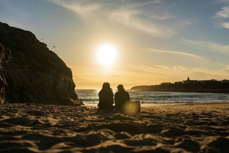 Lagos to Sagres Full-Day Guided Tour - The Experience in Detail