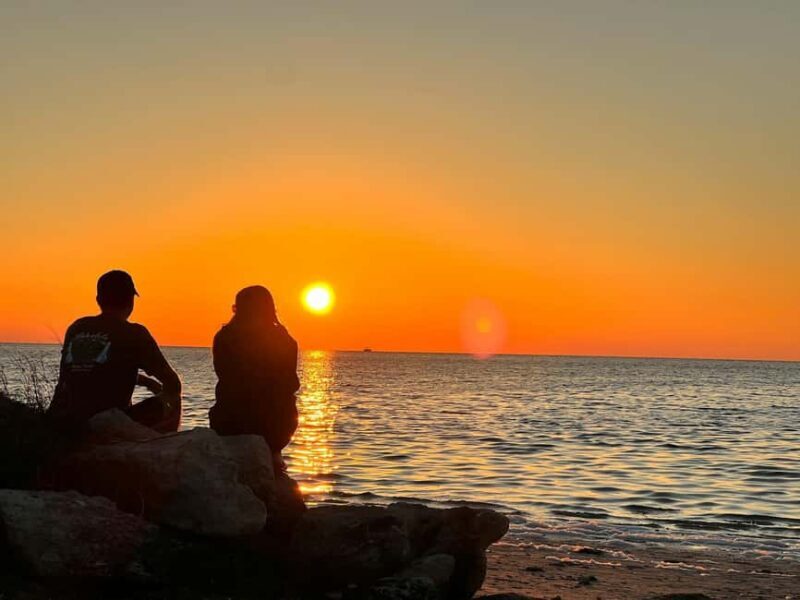 Lagos to Sagres Full-Day Guided Tour - Price and Value