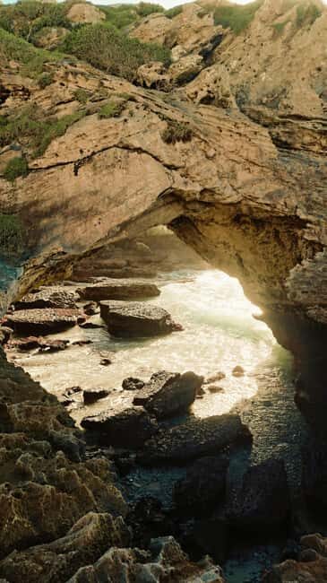 Lagos to Sagres Full-Day Guided Tour - Who Should Consider This Tour?