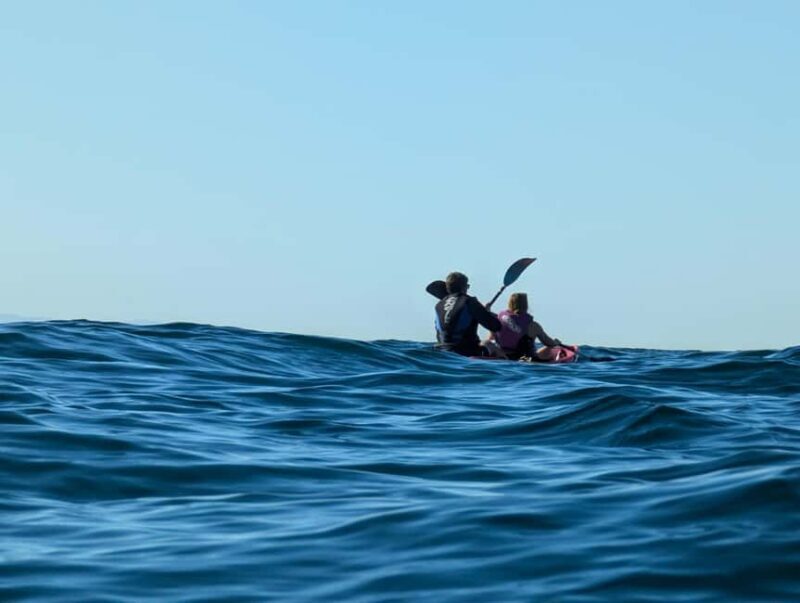 Laguna Beach: Ocean Kayak Private Tour with Guide - Authentic Experiences and Honest Feedback