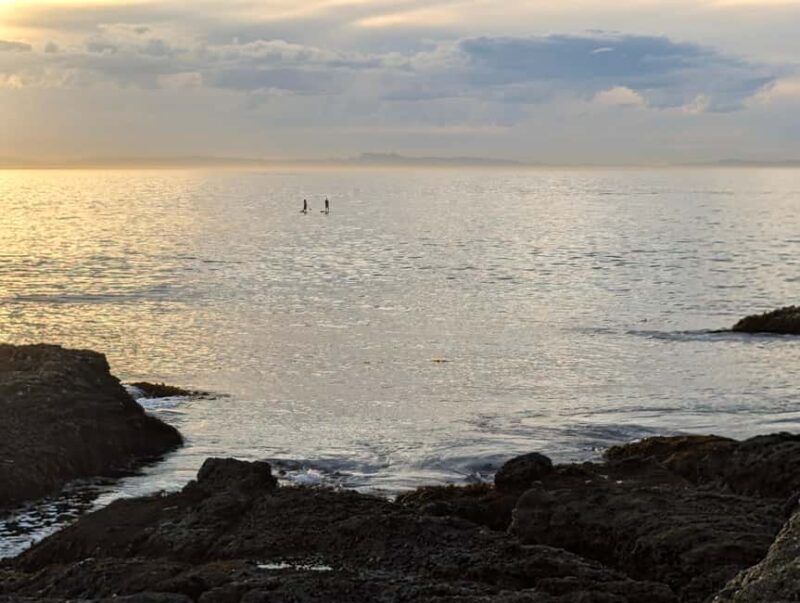 Laguna Beach: Ocean Kayak Private Tour with Guide - Is This Tour Right for You?