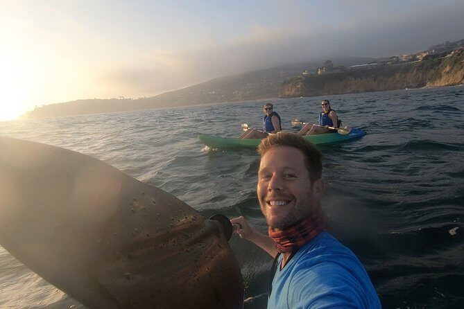 Laguna Beach Open Ocean Kayaking Tour with Sea Lion Sightings - An In-Depth Look at the Laguna Beach Kayaking Experience