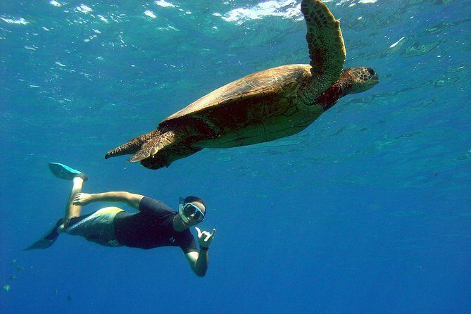 Lahaina Kayak and Snorkel Excursion - An In-Depth Look at the Lahaina Kayak and Snorkel Excursion