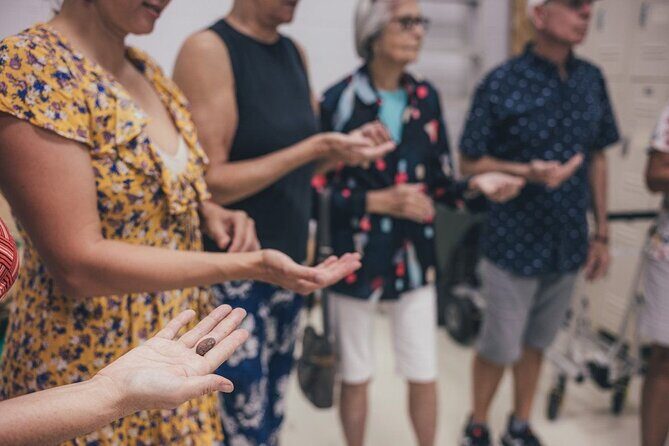 Lahaina Maui Ku'ia Estate Chocolate Factory Experience - Key Points