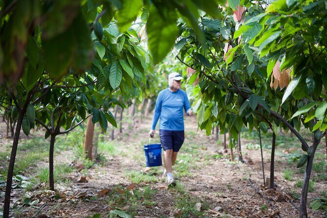 Lahaina: Maui Ku'ia Estate Guided Cacao Farm Tour and Tasting - FAQ