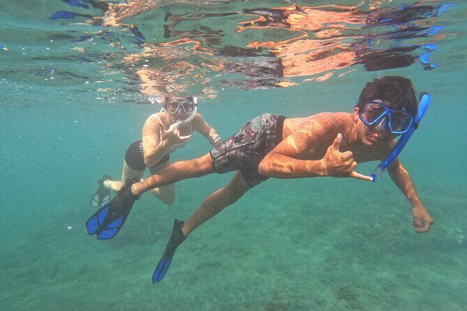 Lahaina Reef Snorkeling Adventure in Maui - What to Expect from the Maui Snorkeling Experience