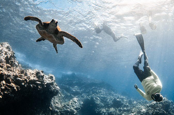 Lahaina Small Group Snorkeling Adventure - Who Is This Tour Best For?