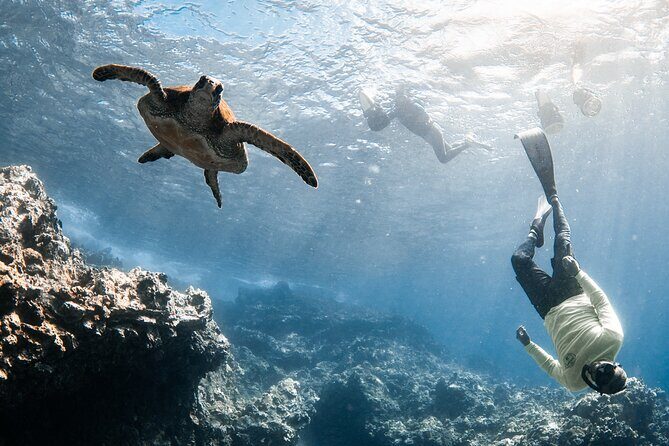 Lahaina Small Group Snorkeling Adventure - Frequently Asked Questions (FAQs)