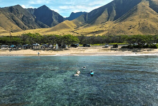 Lahaina Ukumehame Beach Private Surf Activity - Key Points