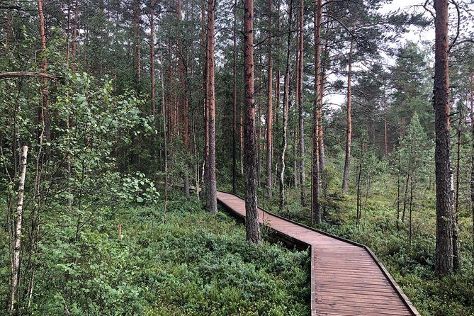Lahemaa national park in Estonia - The Itinerary Breakdown: What You Can Expect