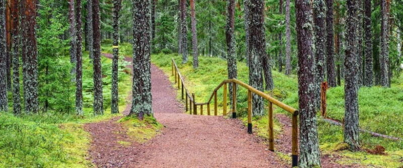 Lahemaa: VIP Tour to Estonias Oldest National Park - Key Points