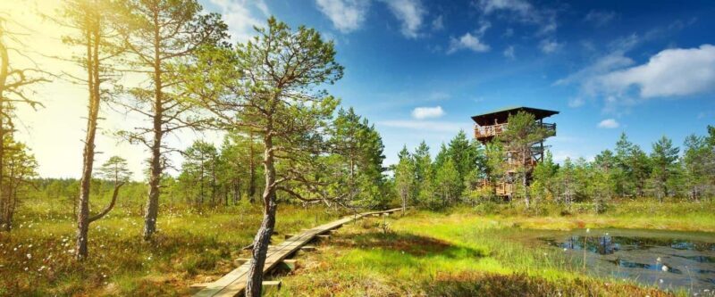 Lahemaa: VIP Tour to Estonias Oldest National Park - An In-Depth Look at the Lahemaa VIP Tour