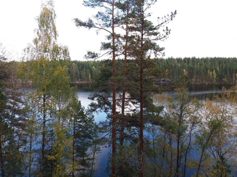 Lahti: Guided Hiking Tour to Kalliojärvi Lake - Exploring Lahti: What to Expect from the Tour