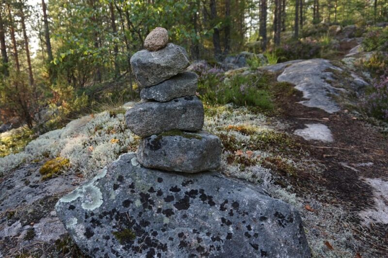 Lahti: Guided Nature Walk The Heart of The Swamp - Authentic Traveler Feedback