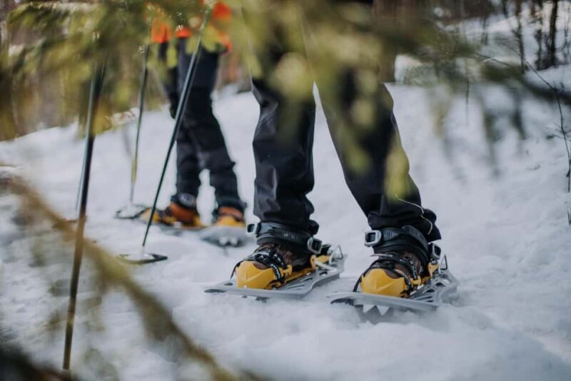Lahti Guided Snowshoeing Tour - The Scenic Landscape