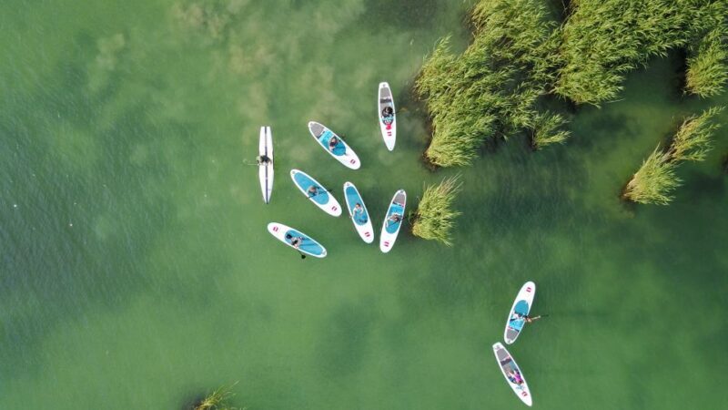 Lake Balaton: Paddle Board Tour of Tihany National Park - Exploring Lake Balaton by Paddle Board