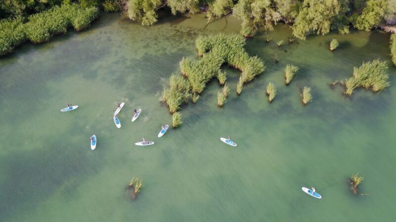 Lake Balaton: Paddle Board Tour of Tihany National Park - The Experience for Different Skill Levels