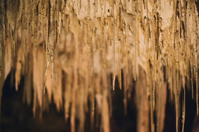 Lake Cave Fully Guided Tour - Practical Tips for Visiting Lake Cave