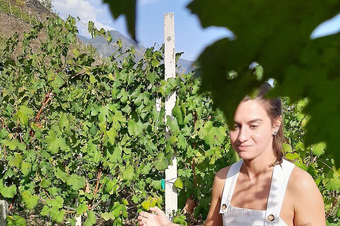 Lake Como & UNESCO Dry-stone Walls Vineyards - Final Thoughts