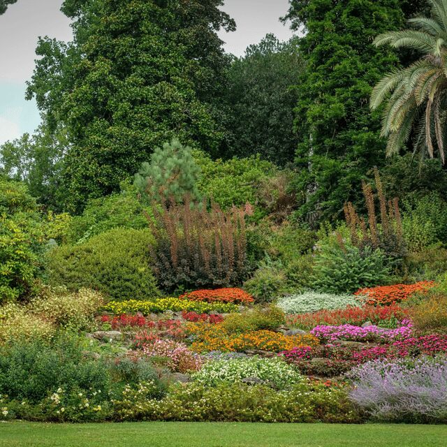 Lake Como: Villa Carlotta Entry Tickets with Ferries - Exploring the Details of the Experience