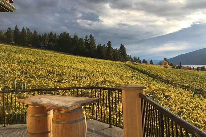 Lake Country 5Hour 5 Winery Tour - A Detailed Look at the Lake Country 5-Hour, 5 Winery Tour