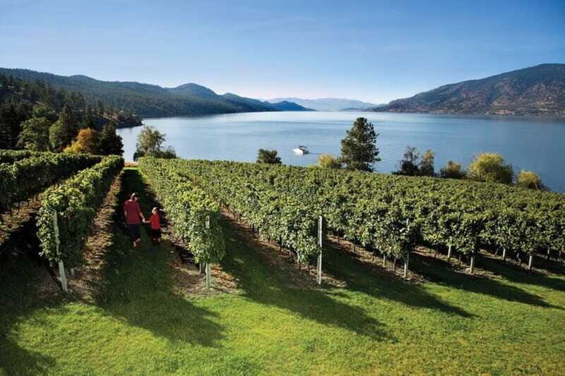 Lake Country: Full-Day Wine Tour with Tastings - The Practical Side