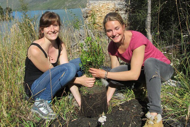 Lake Cruise & Mou Waho Island Nature Walk - A Deep Dive Into the Tour Experience