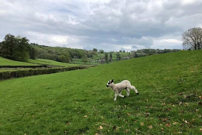 Lake District from Liverpool including Lake Cruise & Train Ride - Hawkshead Village: A Literary Treasure