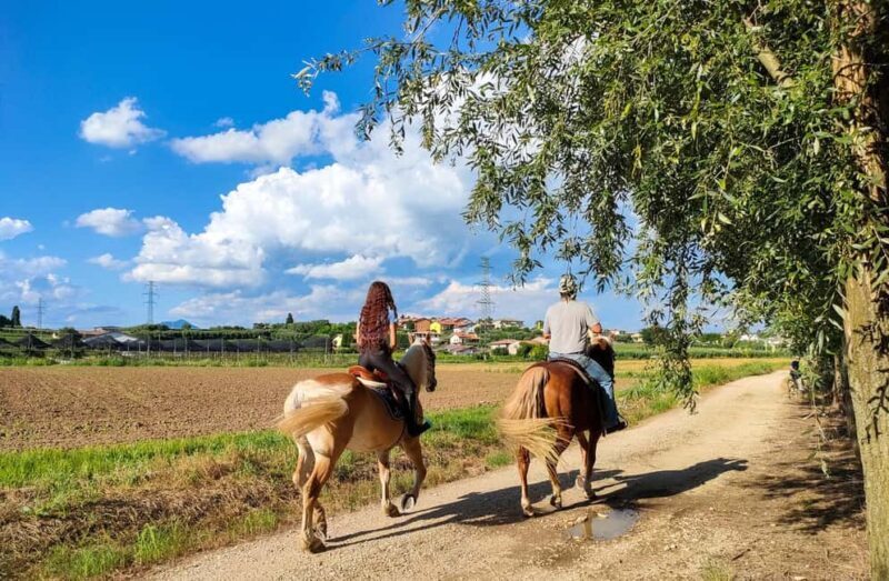 Lake Garda: 2 hours Horseback Ride in the Countryside - Key Points
