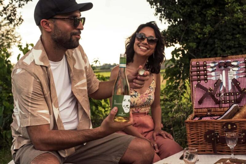 Lake Garda: Pic Nic in the vineyard with wine tasting - An Honest Look at the Experience