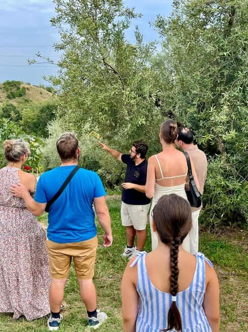 Lake Garda: Tour with 4 Olive Oil Tasting & Local Food - Key Points