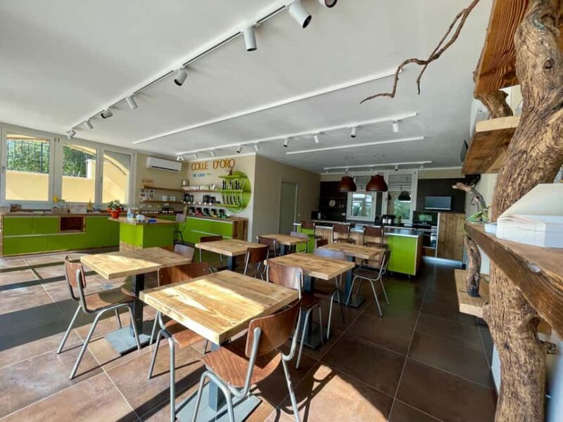 Lake Garda: Tour with 4 Olive Oil Tasting & Local Food - Final Thoughts