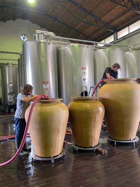 LAKE GARDA: VINEYARD AND WINERY TOUR - Who Will Love This Tour?