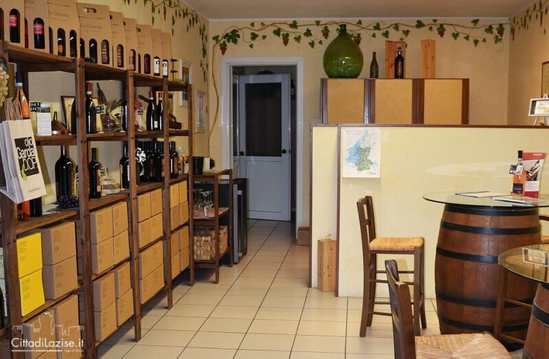 Lake Garda: Wine and Food Tastings in the Vineyards - The Details of the Experience