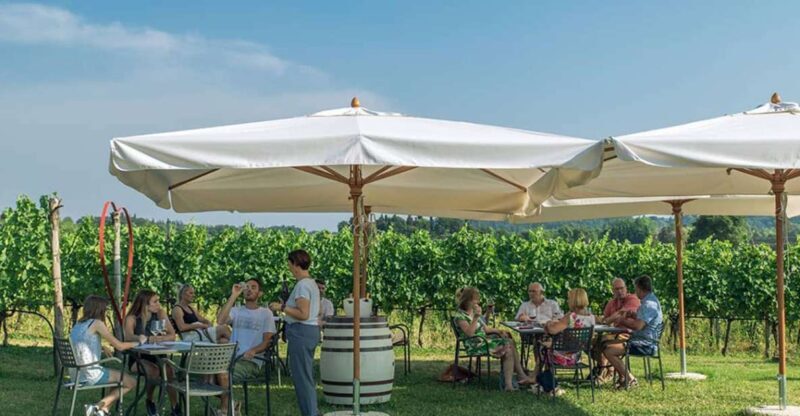 Lake Garda: Wine and Food Tastings in the Vineyards - The Experience from the Travelers Perspective