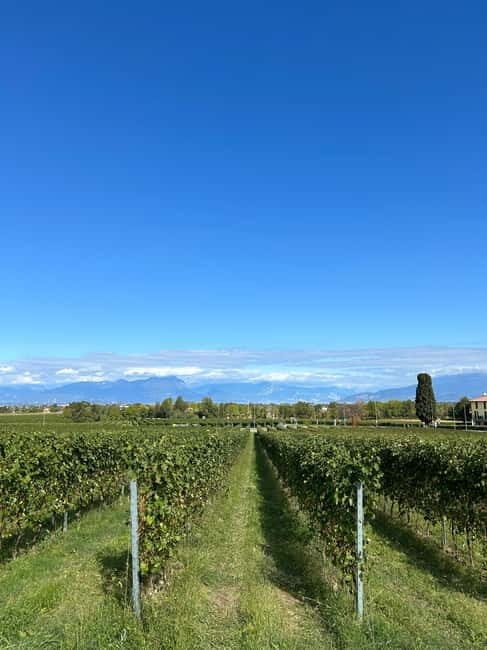 Lake Garda: Wine Tasting and Myths Tour with Local Snacks - An In-Depth Look at the Experience