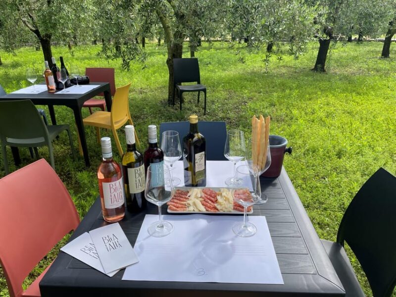 Lake Garda: Wine Tasting and Myths Tour with Local Snacks - Final Thoughts