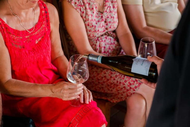 Lake Garda: Winery Tour & Wine Tasting with Local Delicacies - Practicalities and Logistics