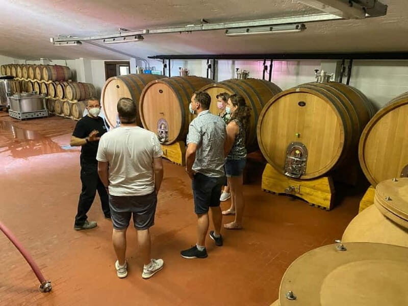 Lake Garda: Winery Visit with Wine and Olive Oil Tasting - Key Points