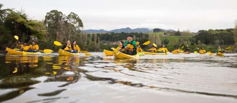 Lake Karapiro: Evening Kayak Glowworm Tour - Key Points