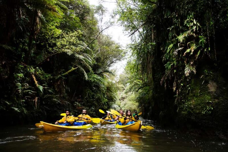 Lake Karapiro: Evening Kayak Glowworm Tour - An Honest Look at the Lake Karapiro Glowworm Kayak Tour