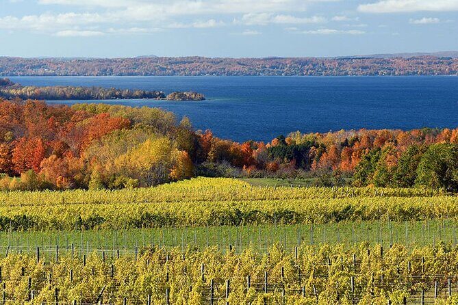 Lake Leelanau 4 Hour Tour - An In-Depth Look at the Lake Leelanau 4-Hour Tour